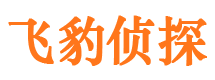 资源市私家侦探